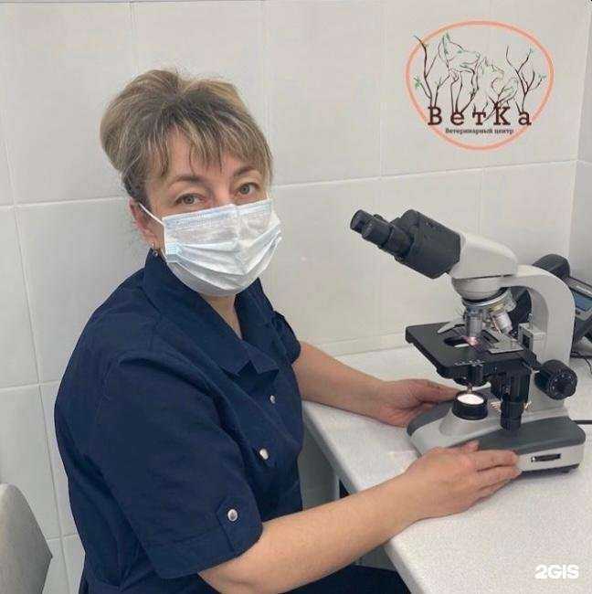 Отзывы на компанию ВетКа в Липецке c фото