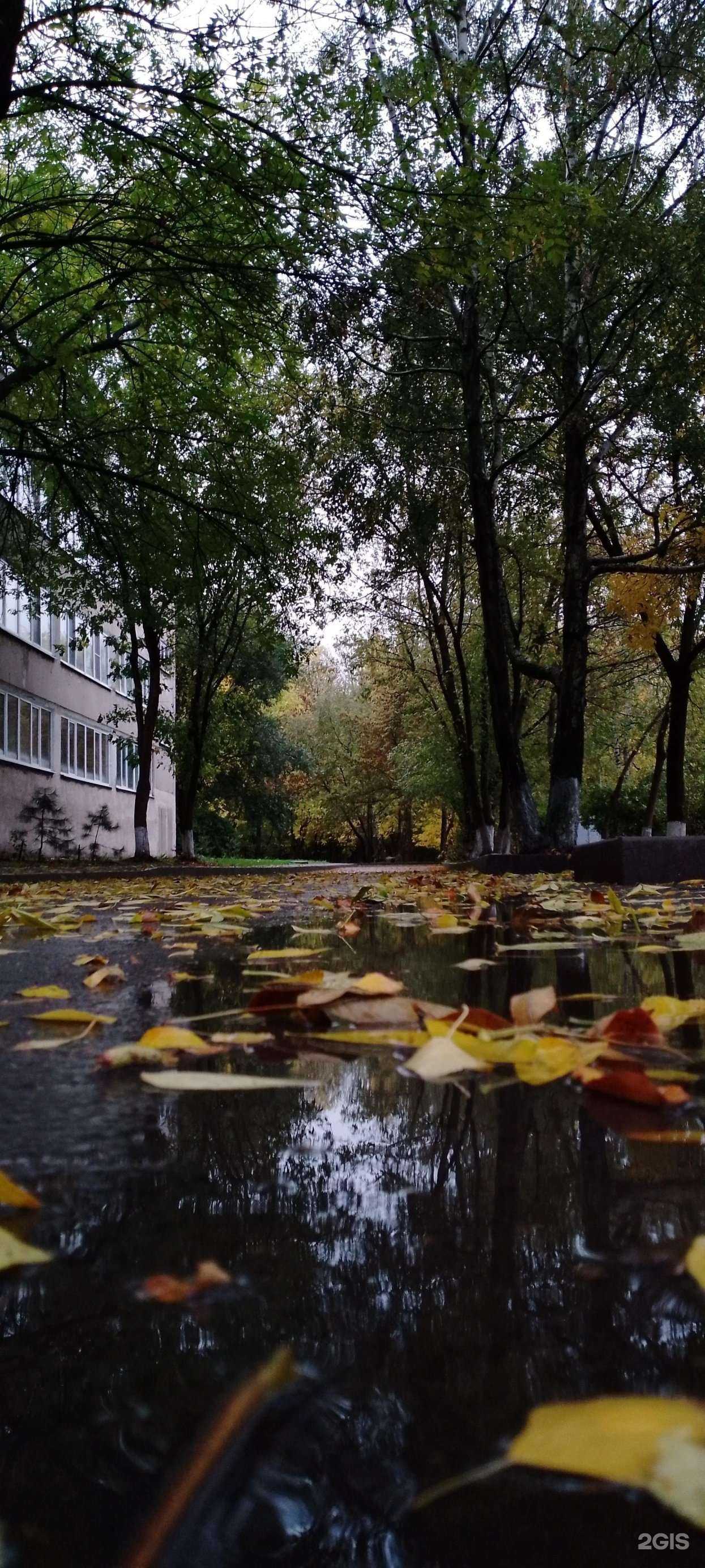 Отзывы на компанию Школа №97 в Ростове-на-Дону c фото