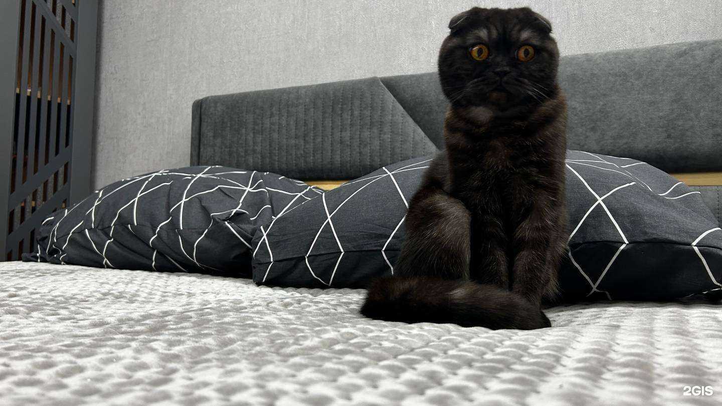 Отзывы на компанию DaVita-мебель в Канаше c фото