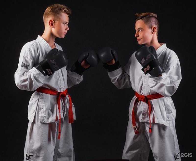 Отзывы на компанию Black Tigers в Волгограде c фото