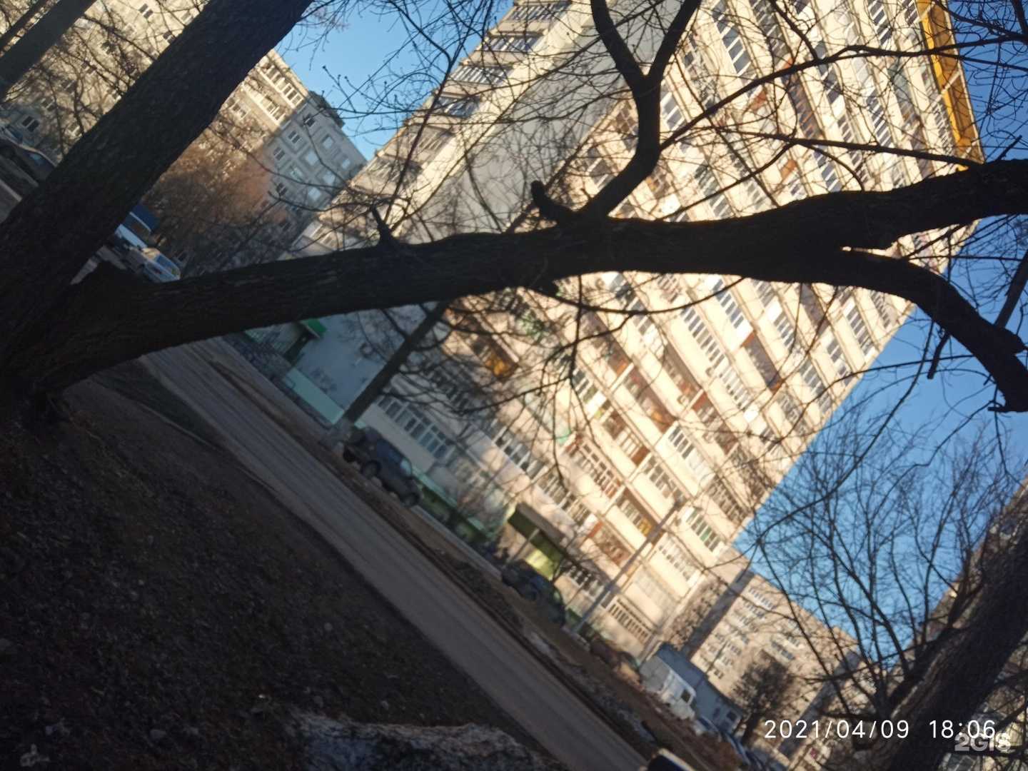 Отзывы на компанию Капитошка в Коврове c фото - фотография 2 из 2