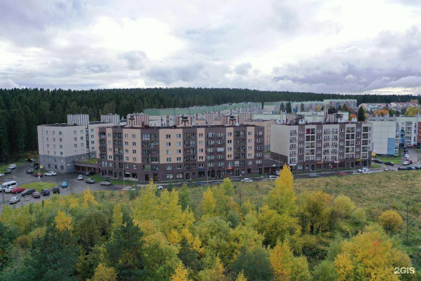 Отзывы на компанию Осаго экспресс в Петрозаводске c фото - фотография 2 из 2