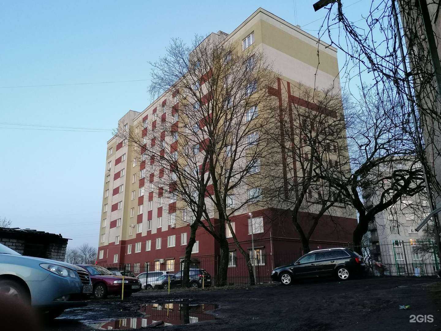 Отзывы на компанию Магазин зоотоваров в Калининграде c фото - фотография 2 из 2