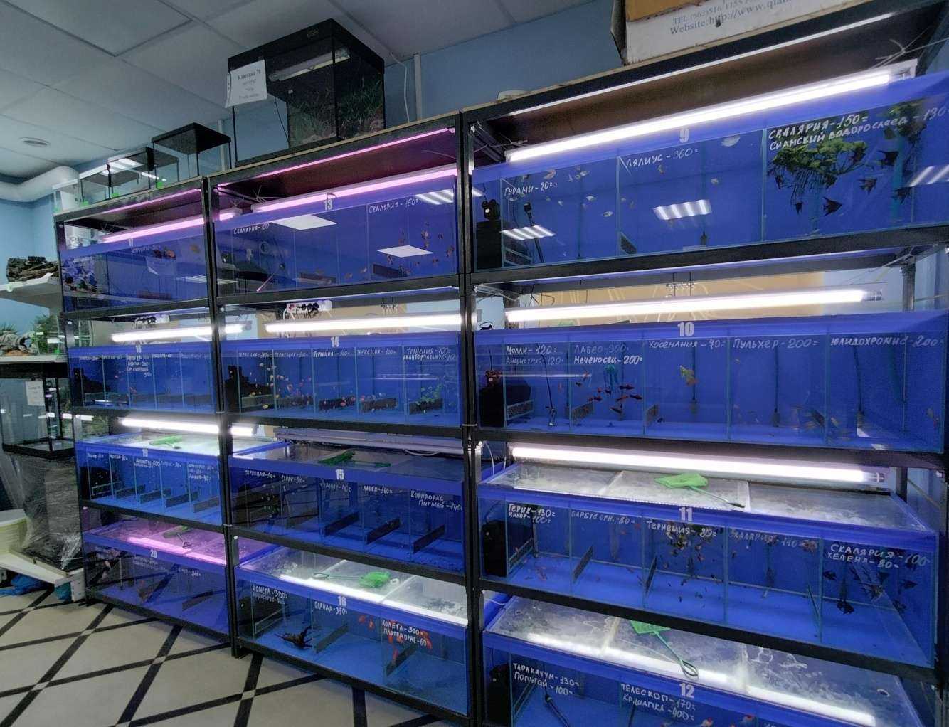 Отзывы на компанию Мир аквариума в г. Ногинск c фото
