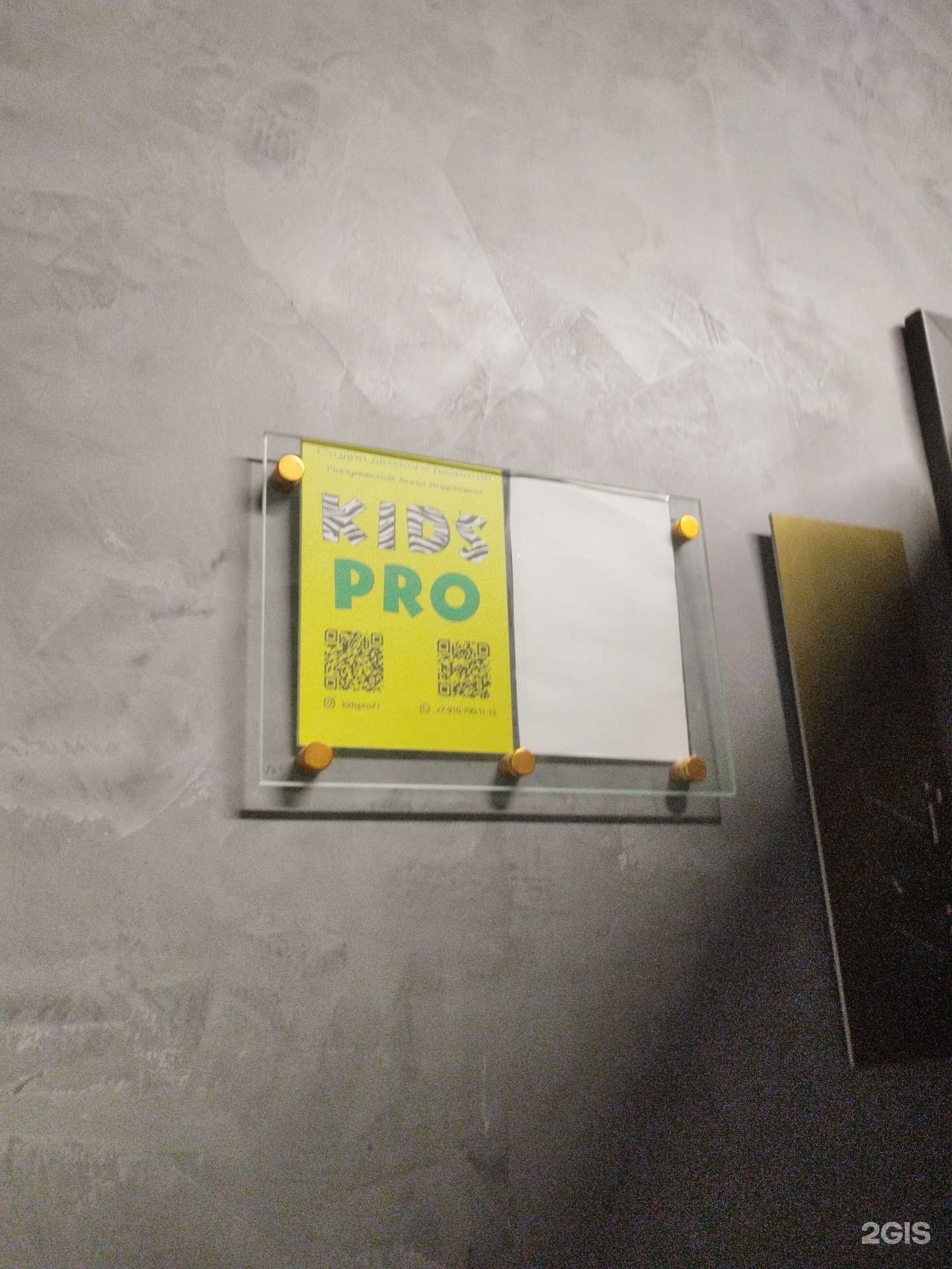 Отзывы на компанию Kids Pro в Туле c фото