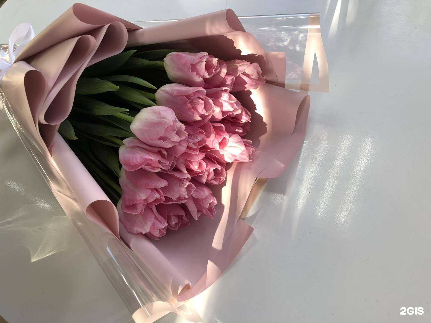 Отзывы на компанию Mas Flora в г. Краснодар c фото