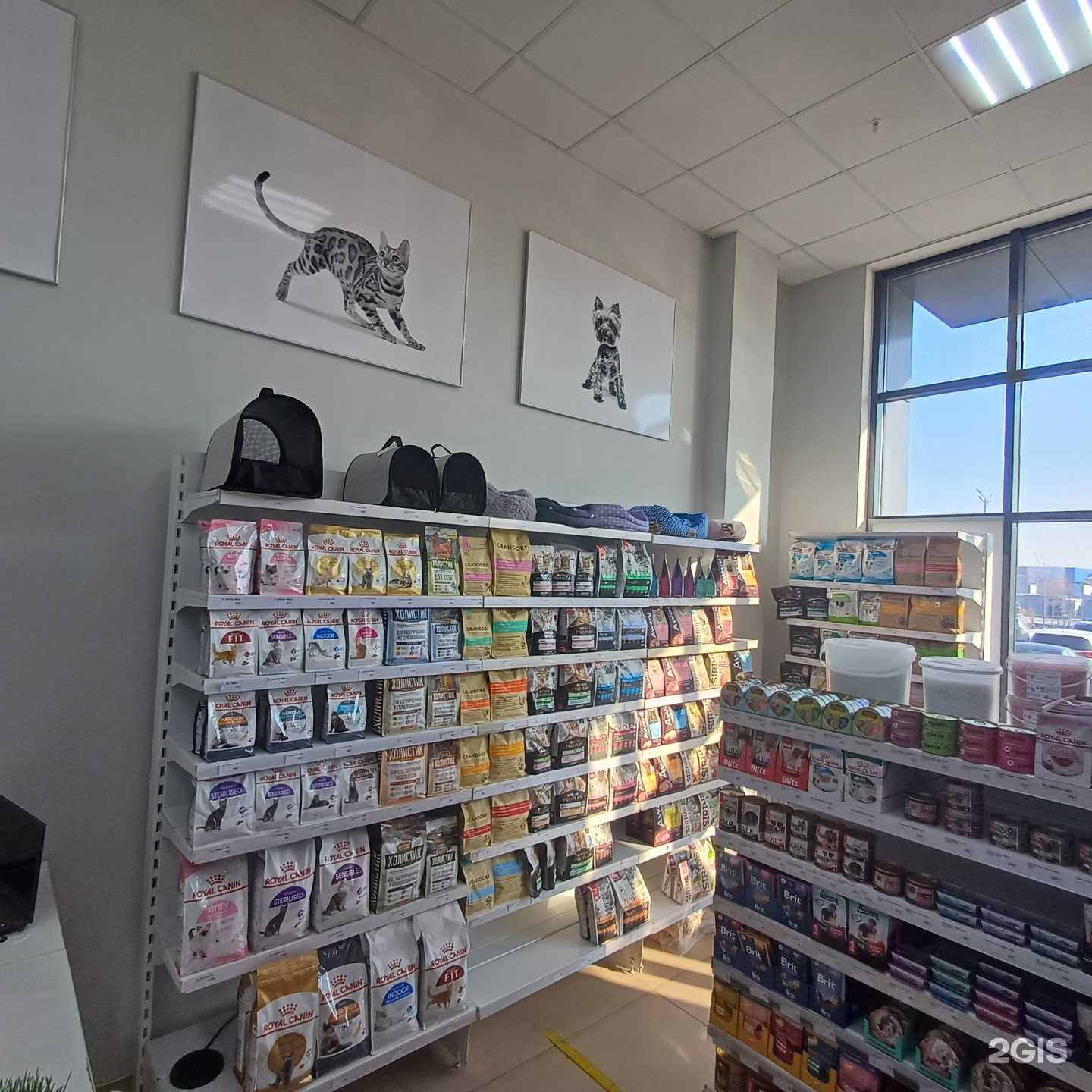 Отзывы на компанию ЗооЛавка в Казани c фото
