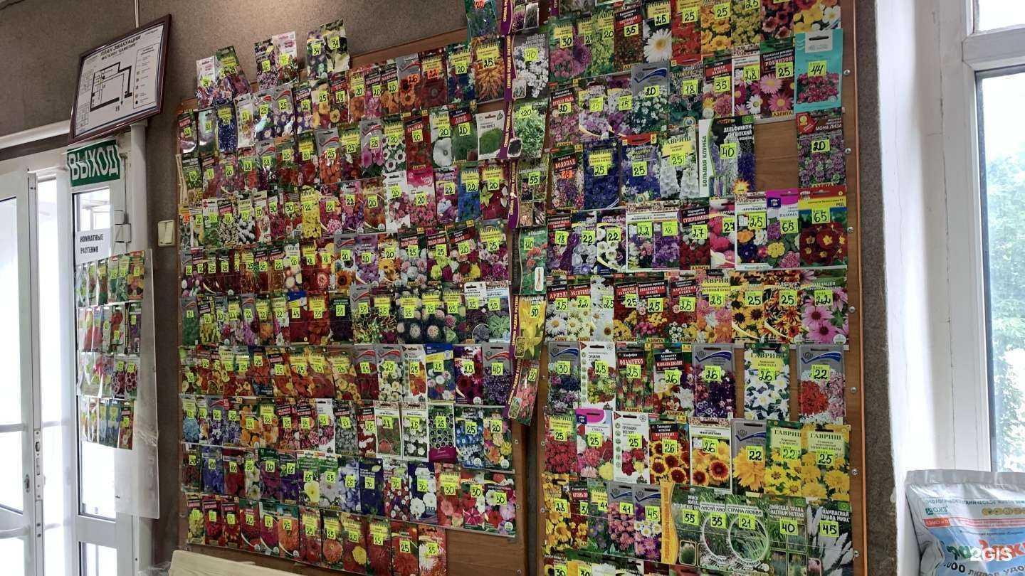 Отзывы на компанию Камелия в Нижнем Тагиле c фото