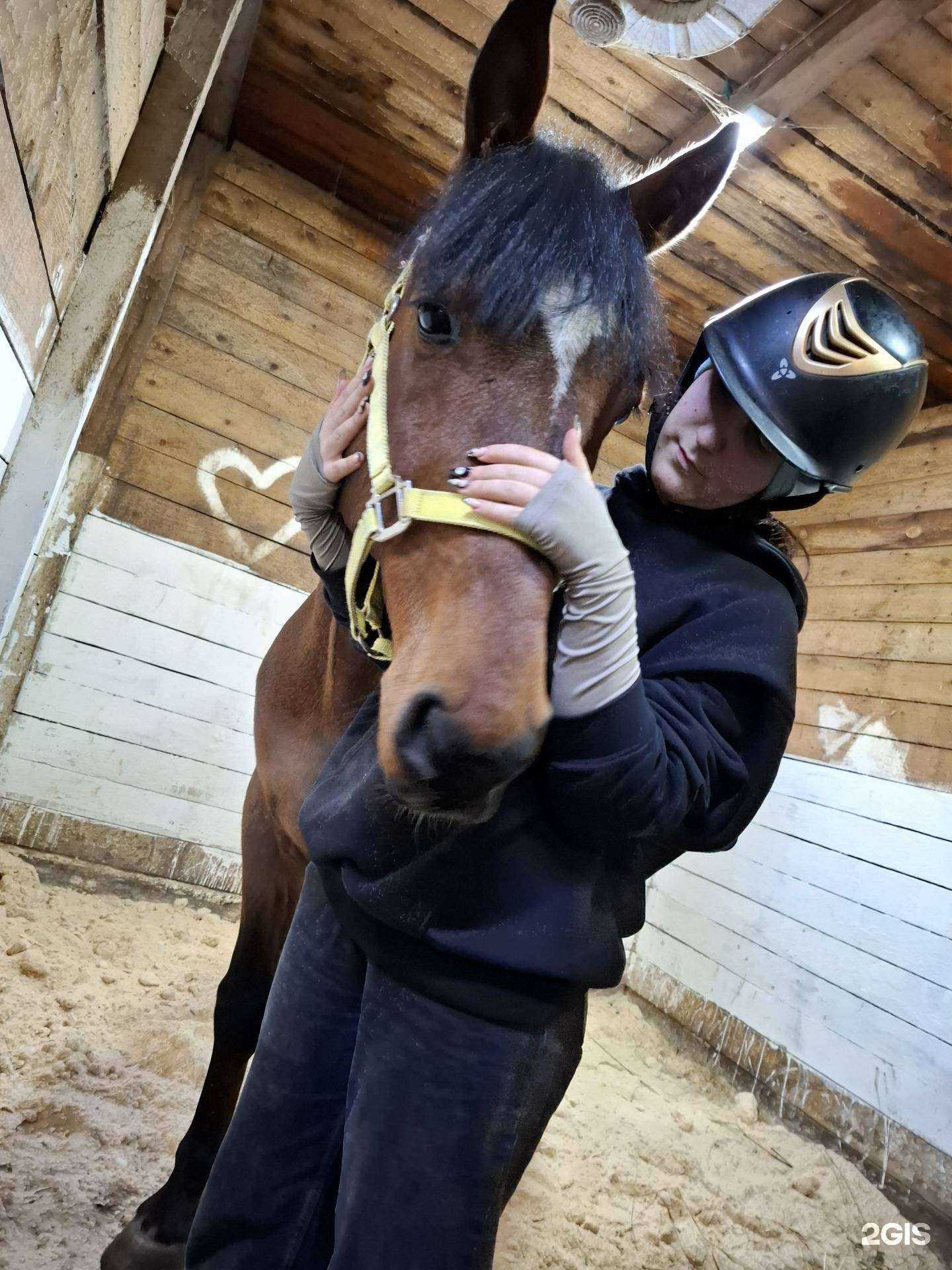 Отзывы на компанию Грация в г. Новокузнецк c фото