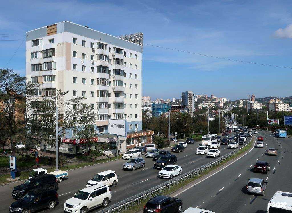 Отзывы на компанию Диво флора в Владивостоке c фото - фотография 2 из 2