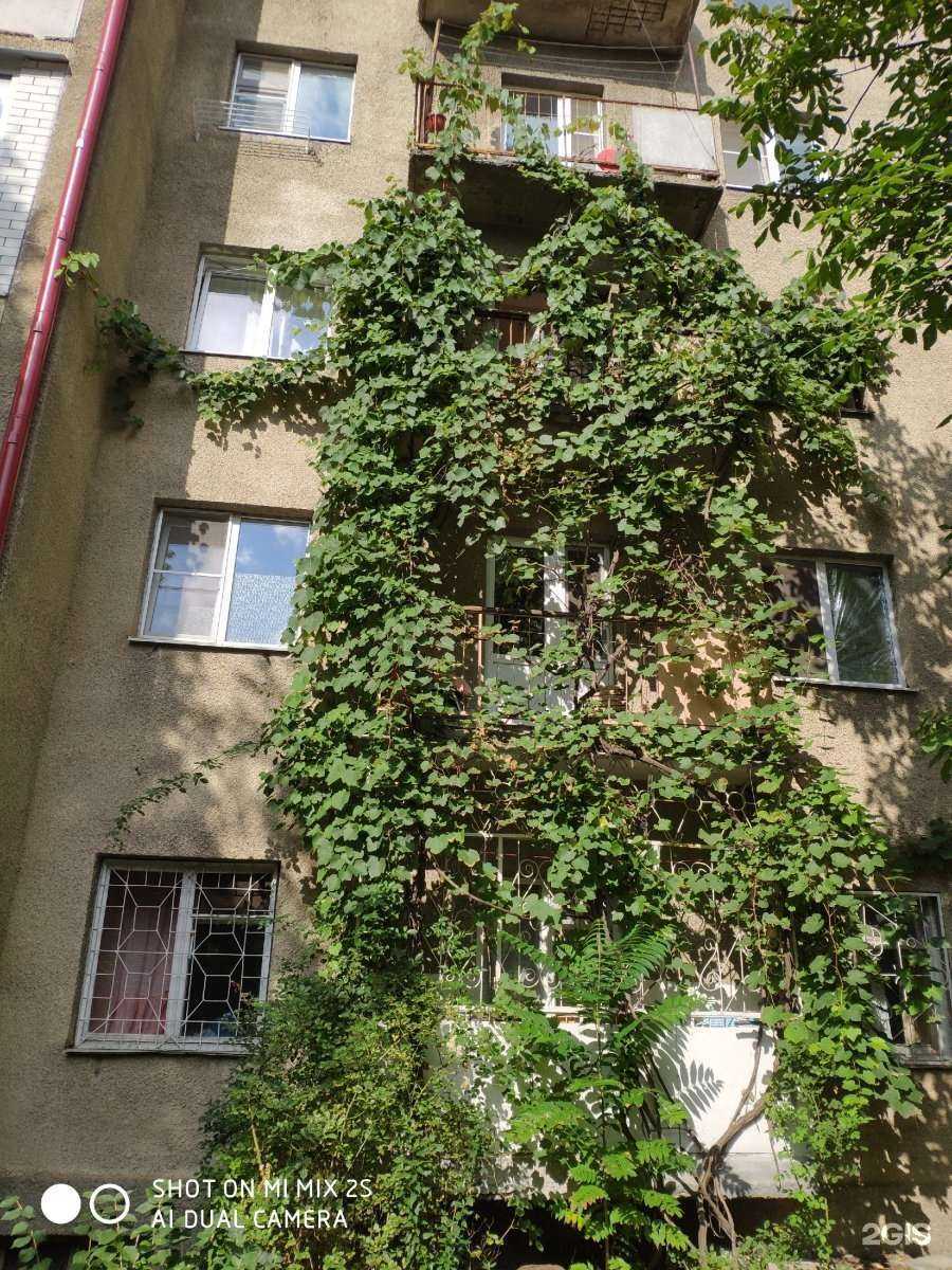 Отзывы на компанию Prolimus в Железноводске c фото - фотография 2 из 2