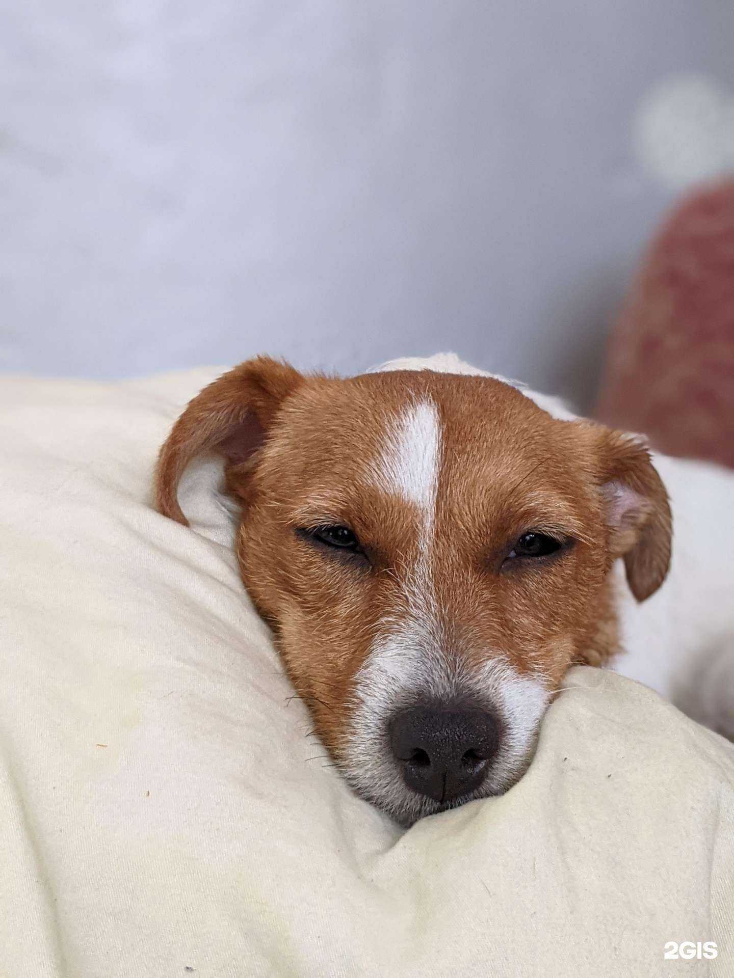 Отзывы на компанию Ева в Краснодаре c фото