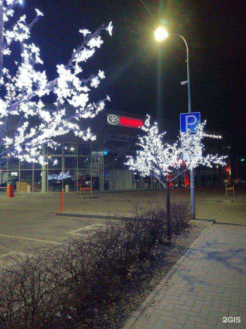 Отзывы на компанию Pro.спорт в Ростове-на-Дону c фото - фотография 2 из 2