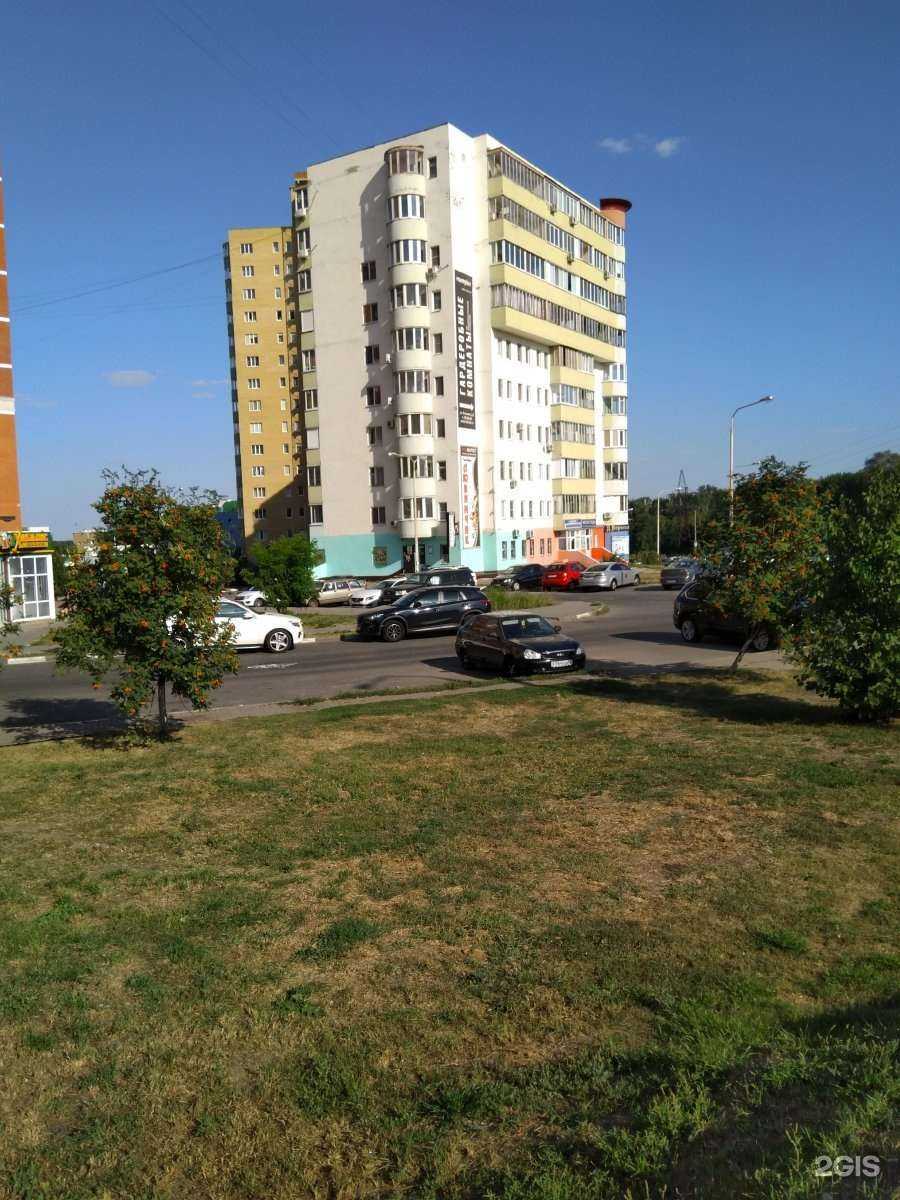 Отзывы на компанию Зоогалерея в Белгороде c фото - фотография 2 из 2