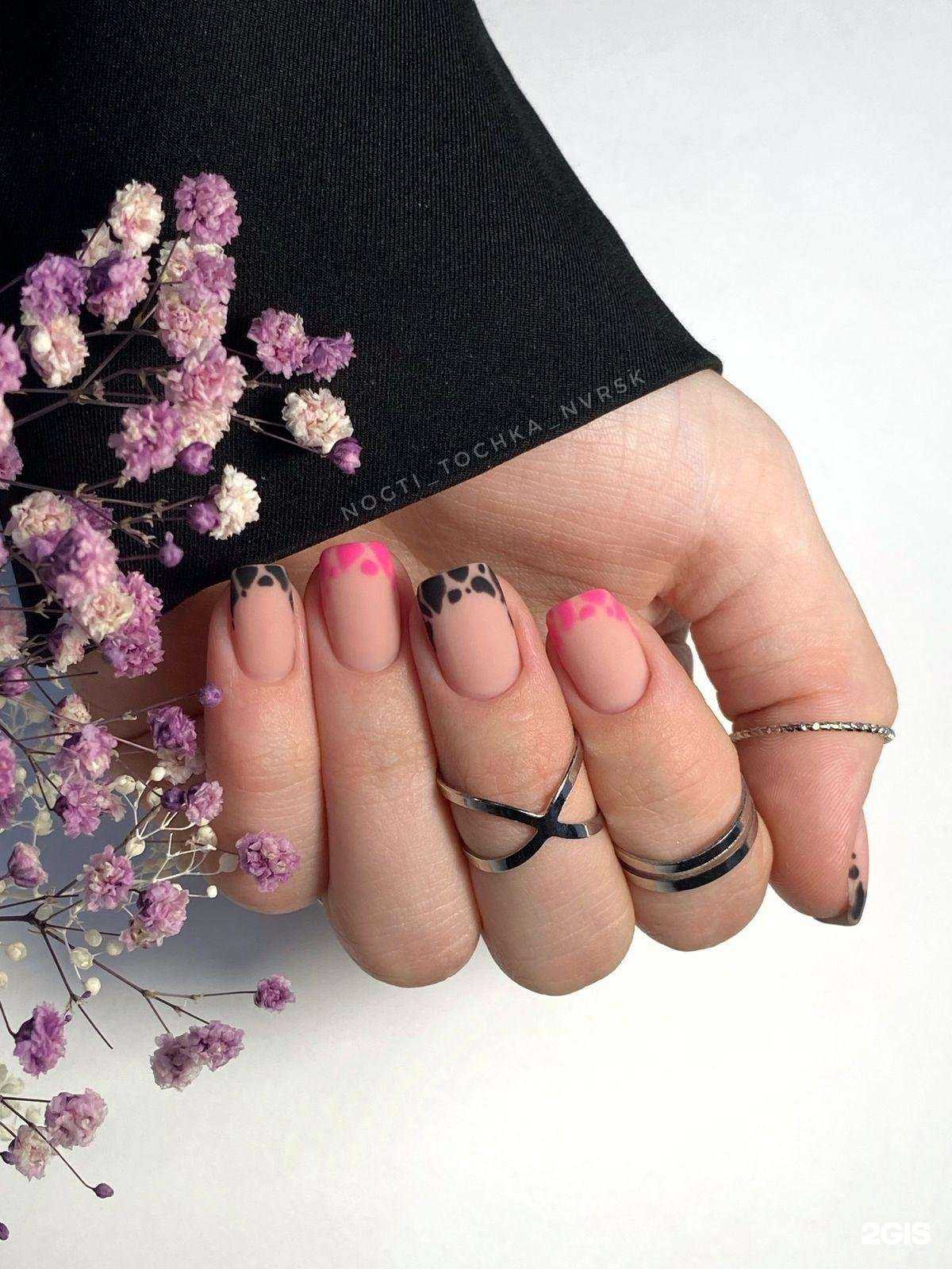 Отзывы на компанию Цитрус в Новороссийске c фото