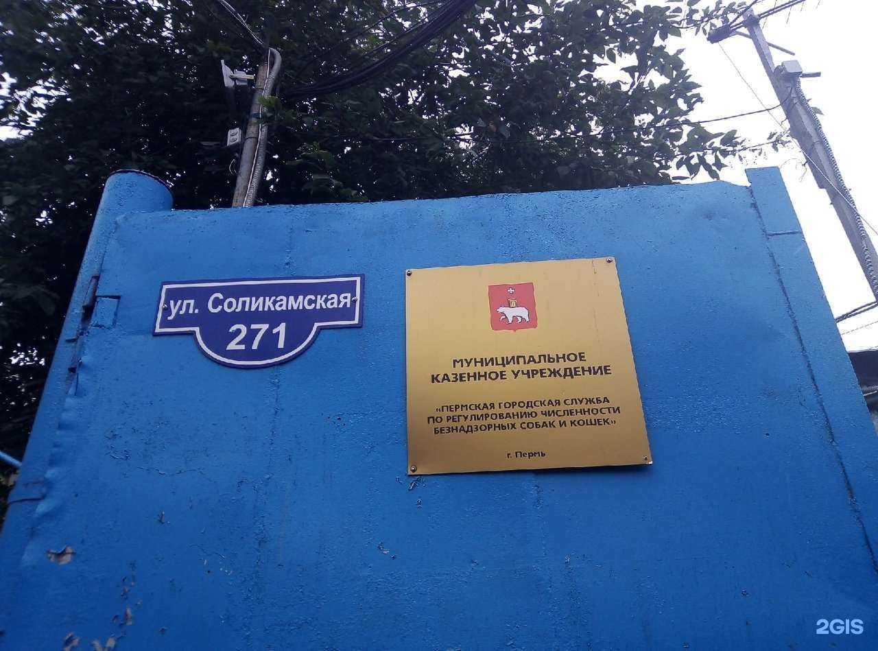 Отзывы на компанию Comffort в Перми c фото - фотография 2 из 2