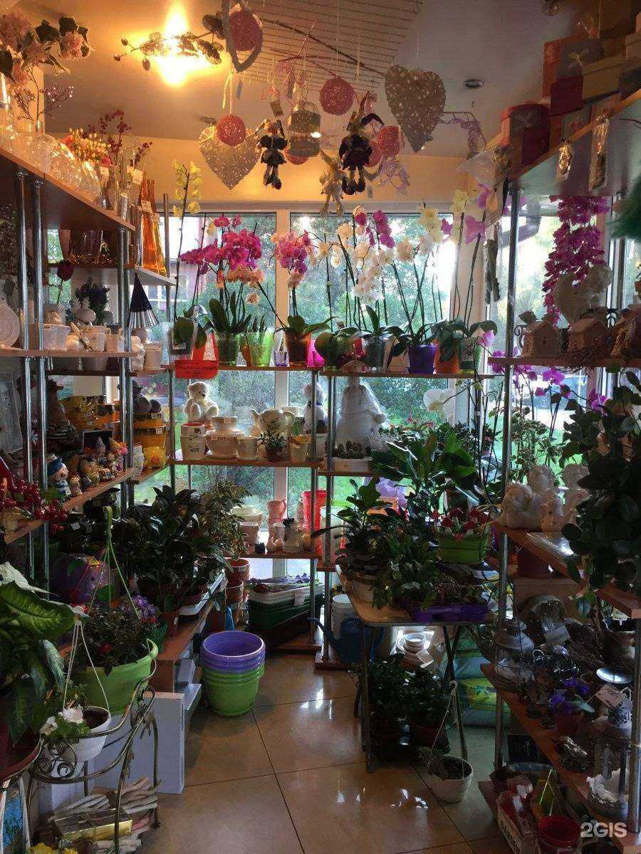 Отзывы на компанию Настин сад в Калининграде c фото