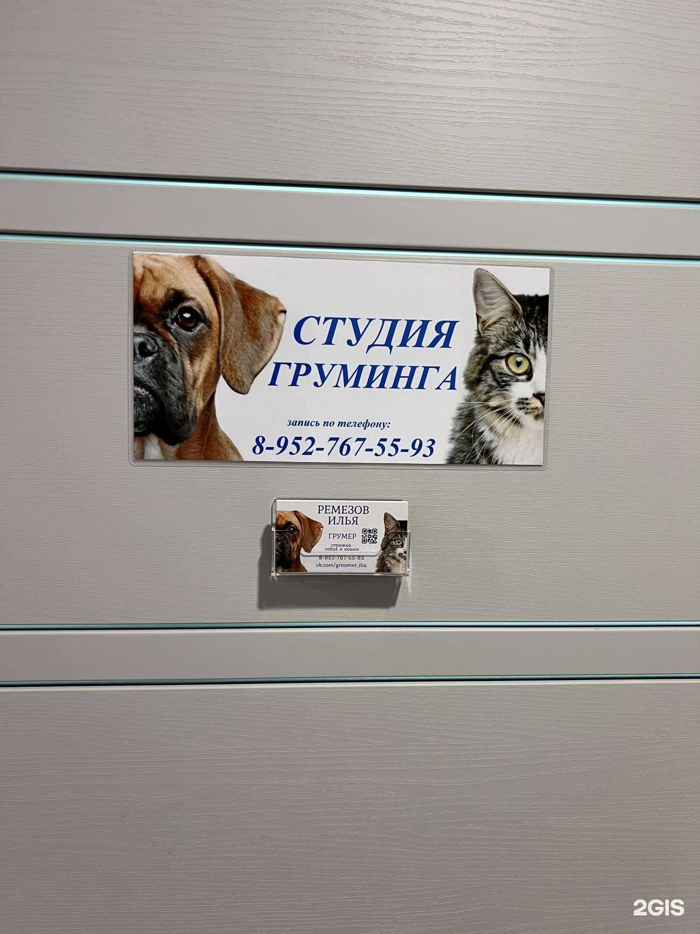 Отзывы на компанию Студия груминга в Дзержинске c фото