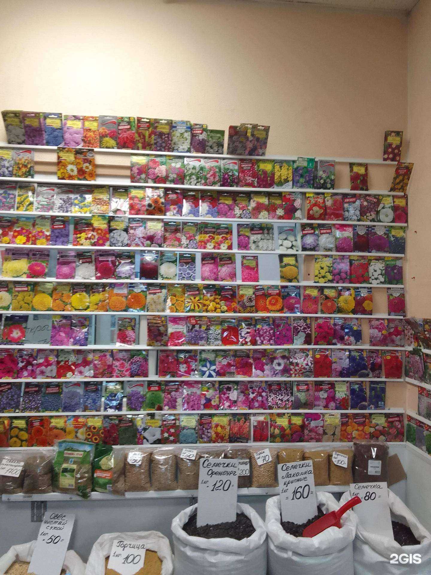 Отзывы на компанию Магазин фруктов и семян в г. Стерлитамак c фото