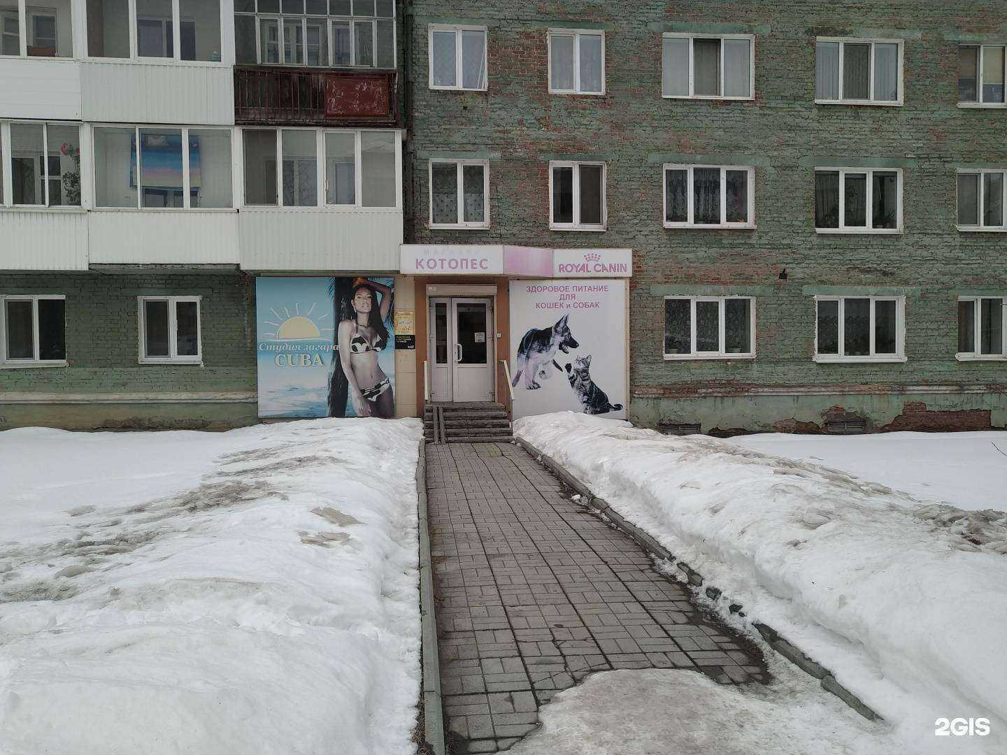 Отзывы на компанию Котопёс в Верхней Салде c фото