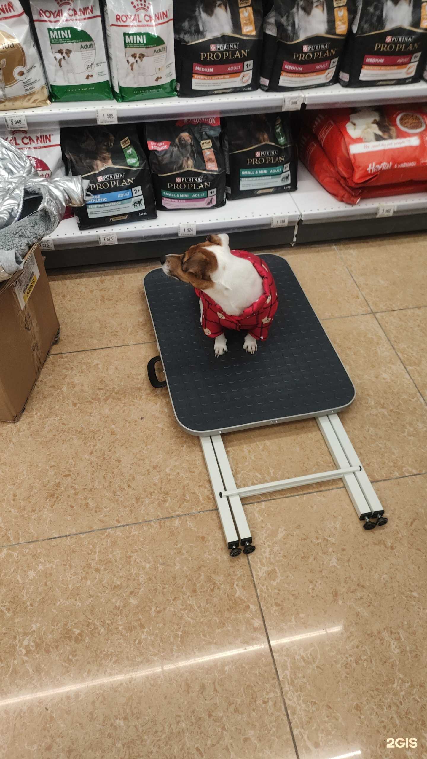 Отзывы на компанию Зоозавр в Магнитогорске c фото