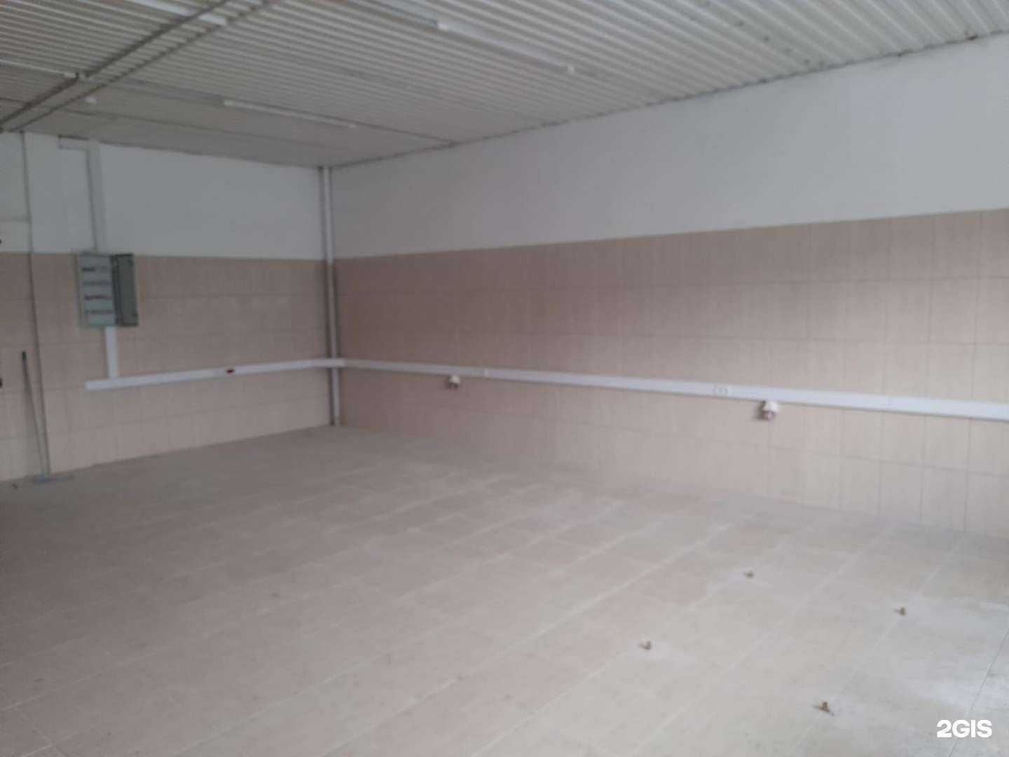 Отзывы на компанию Мистер Кот в Воронеже c фото