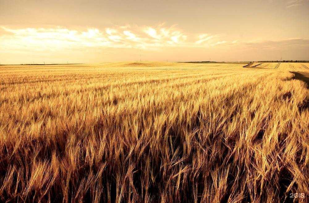 Отзывы на компанию Снап в Саратове c фото