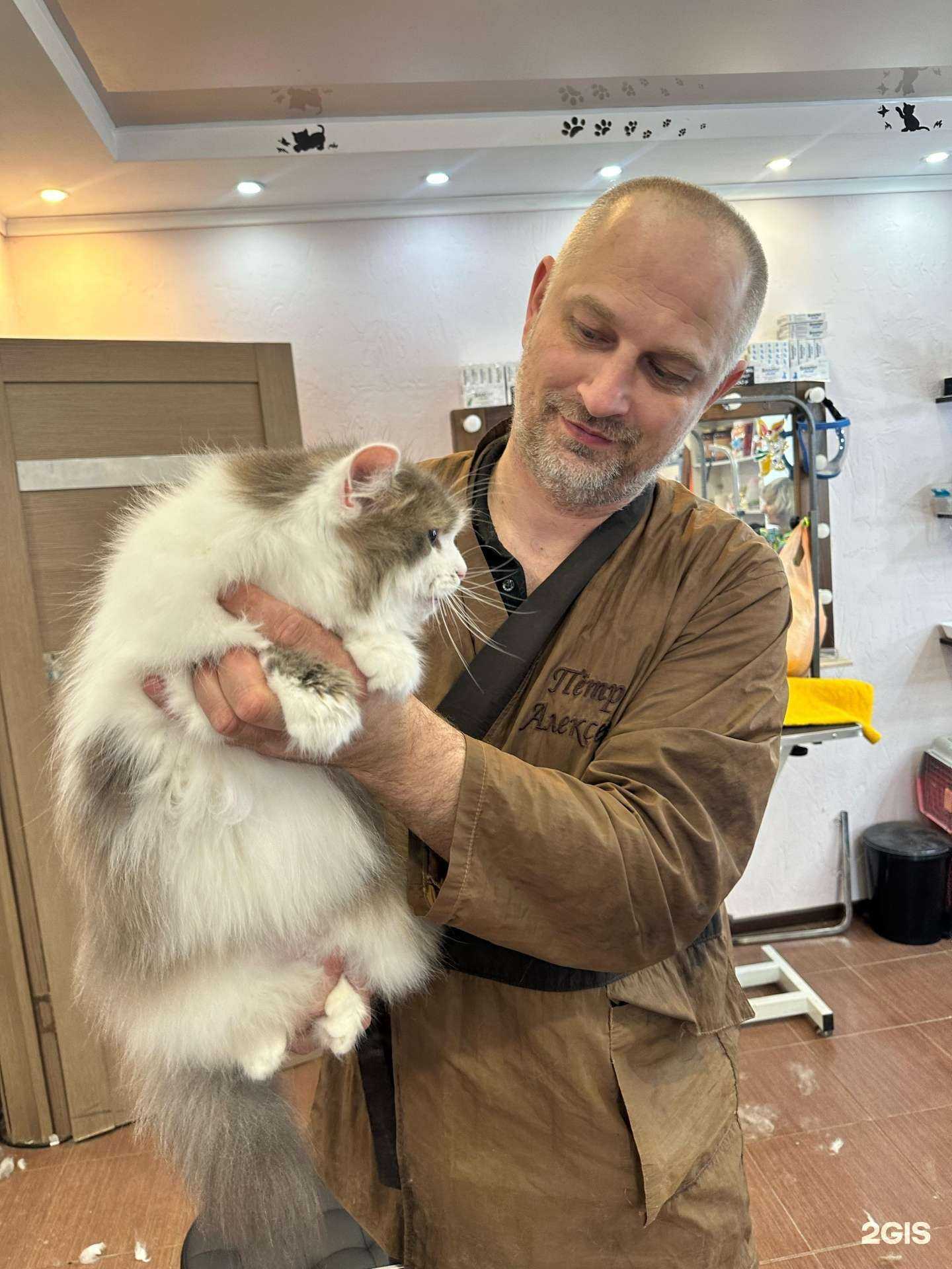 Отзывы на компанию Zoopersona в Саратове c фото