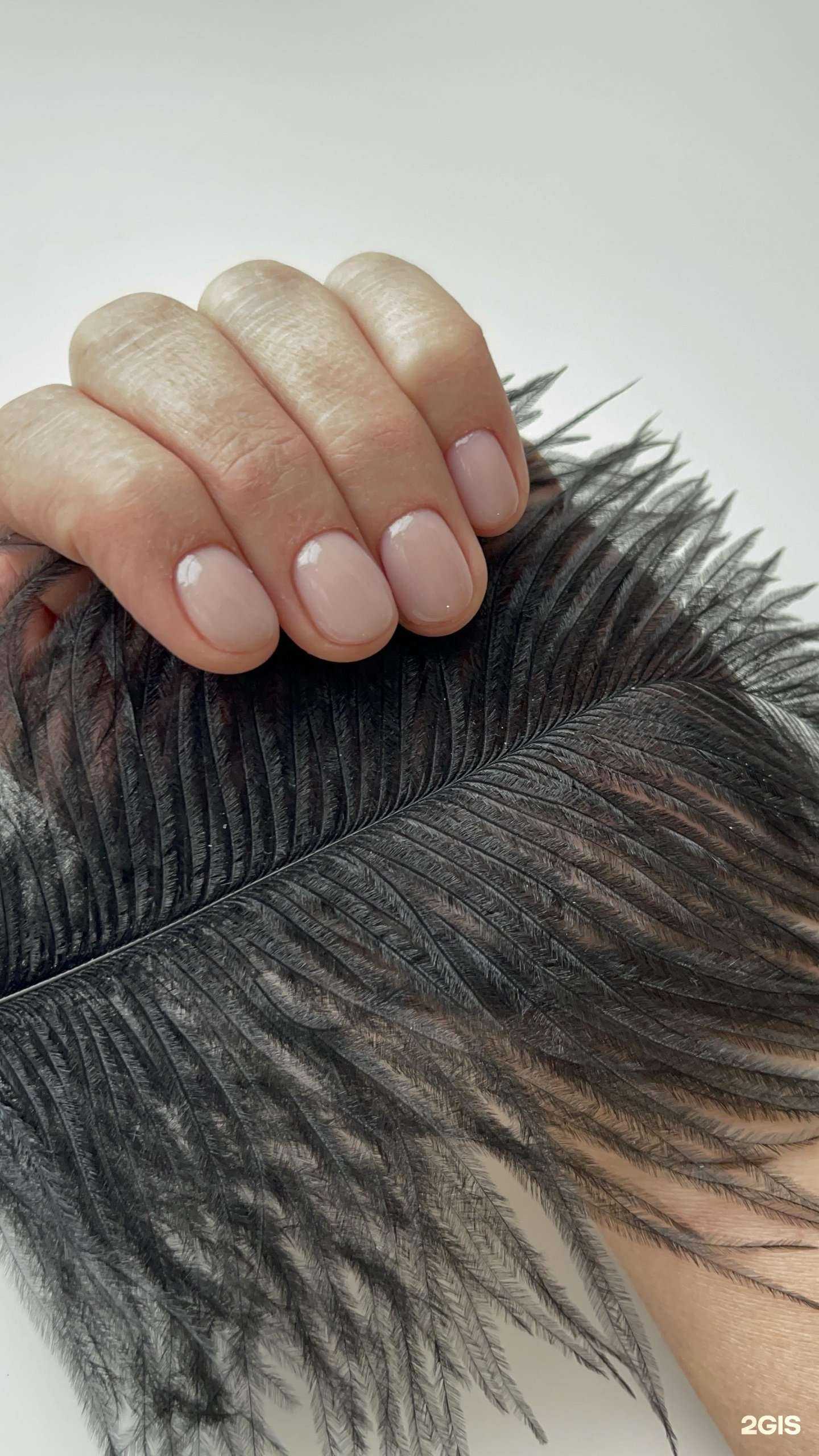 Отзывы на компанию Бьюти хауз в г. Йошкар-Ола c фото