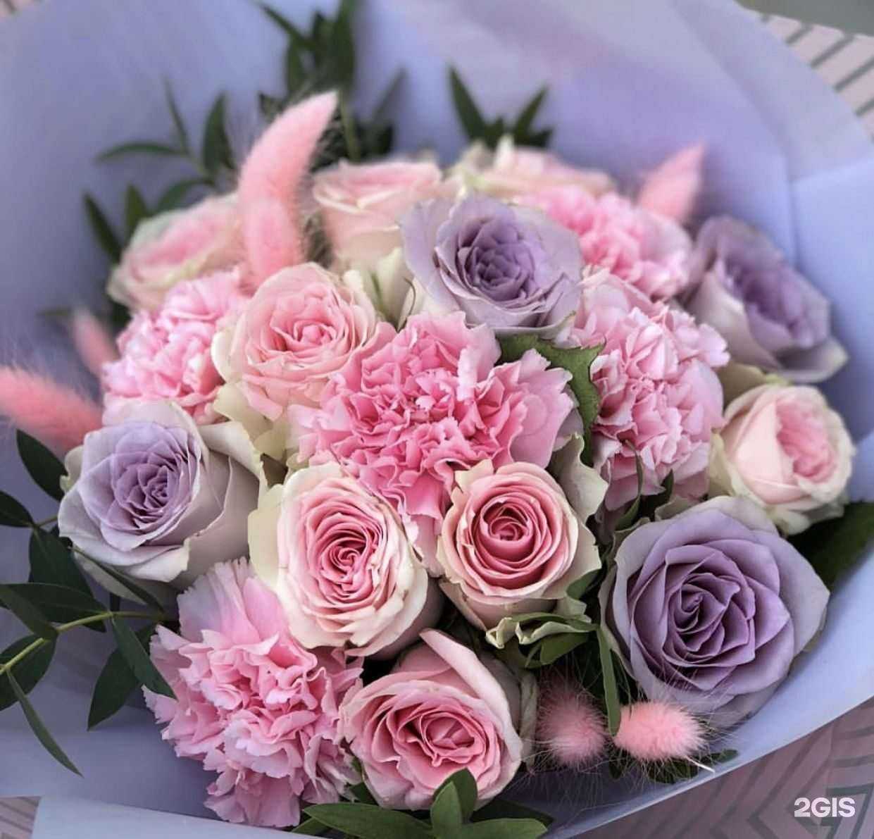 Отзывы на компанию Анастасия в Новосибирске c фото