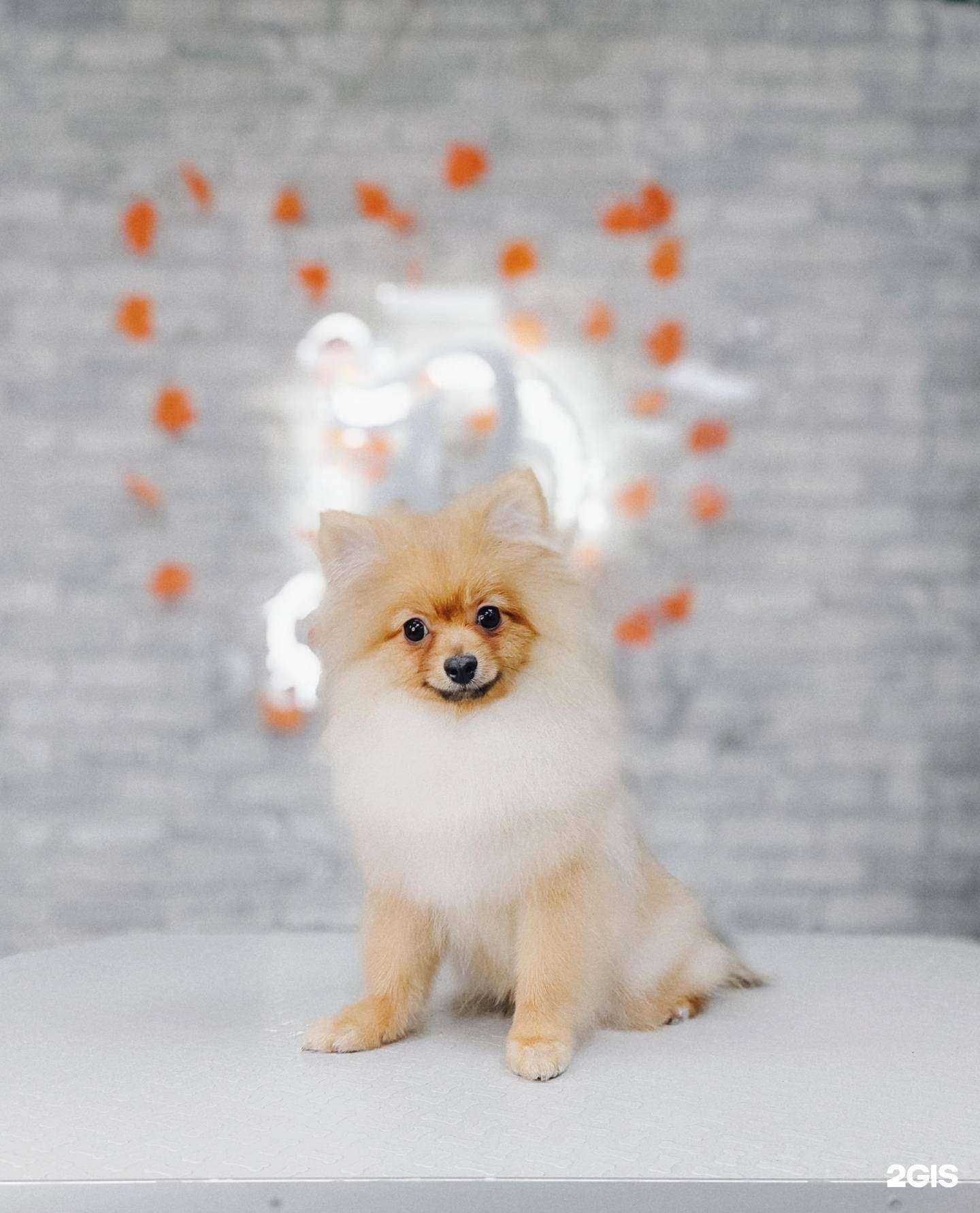 Отзывы на компанию Басконти в г. Калуга c фото