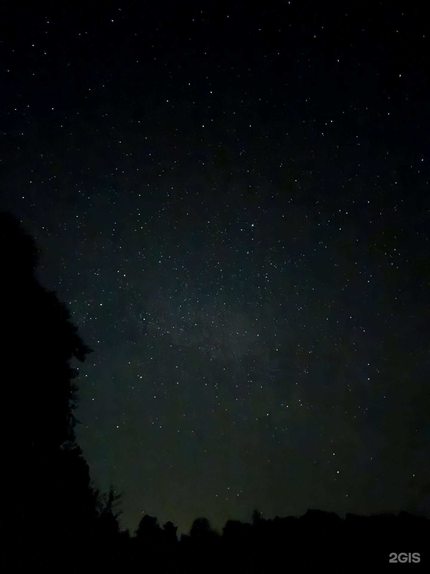 Отзывы на компанию Wildworld в Калининграде c фото