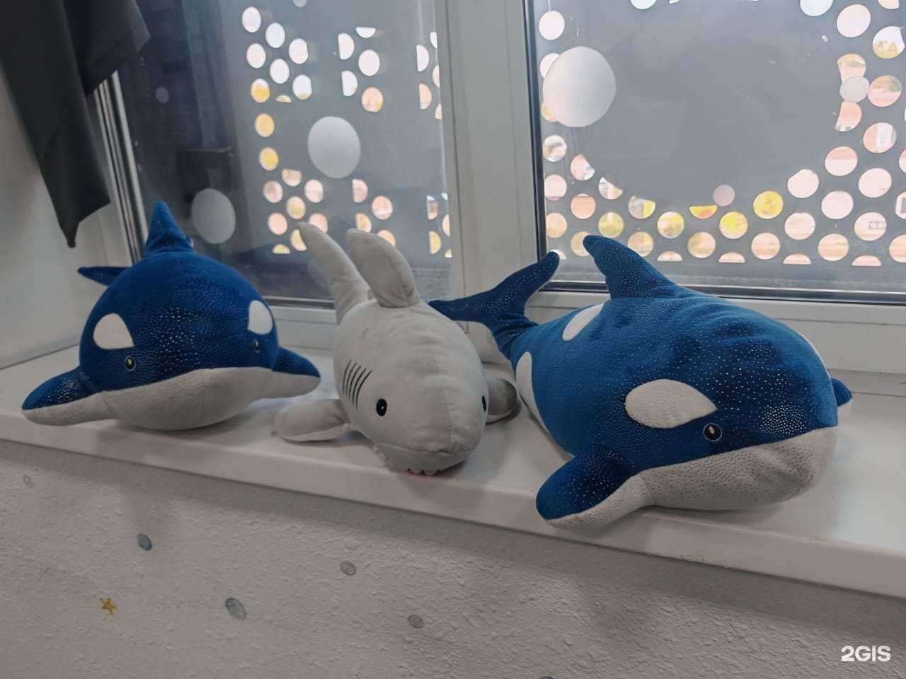 Отзывы на компанию Море в г. Артём c фото