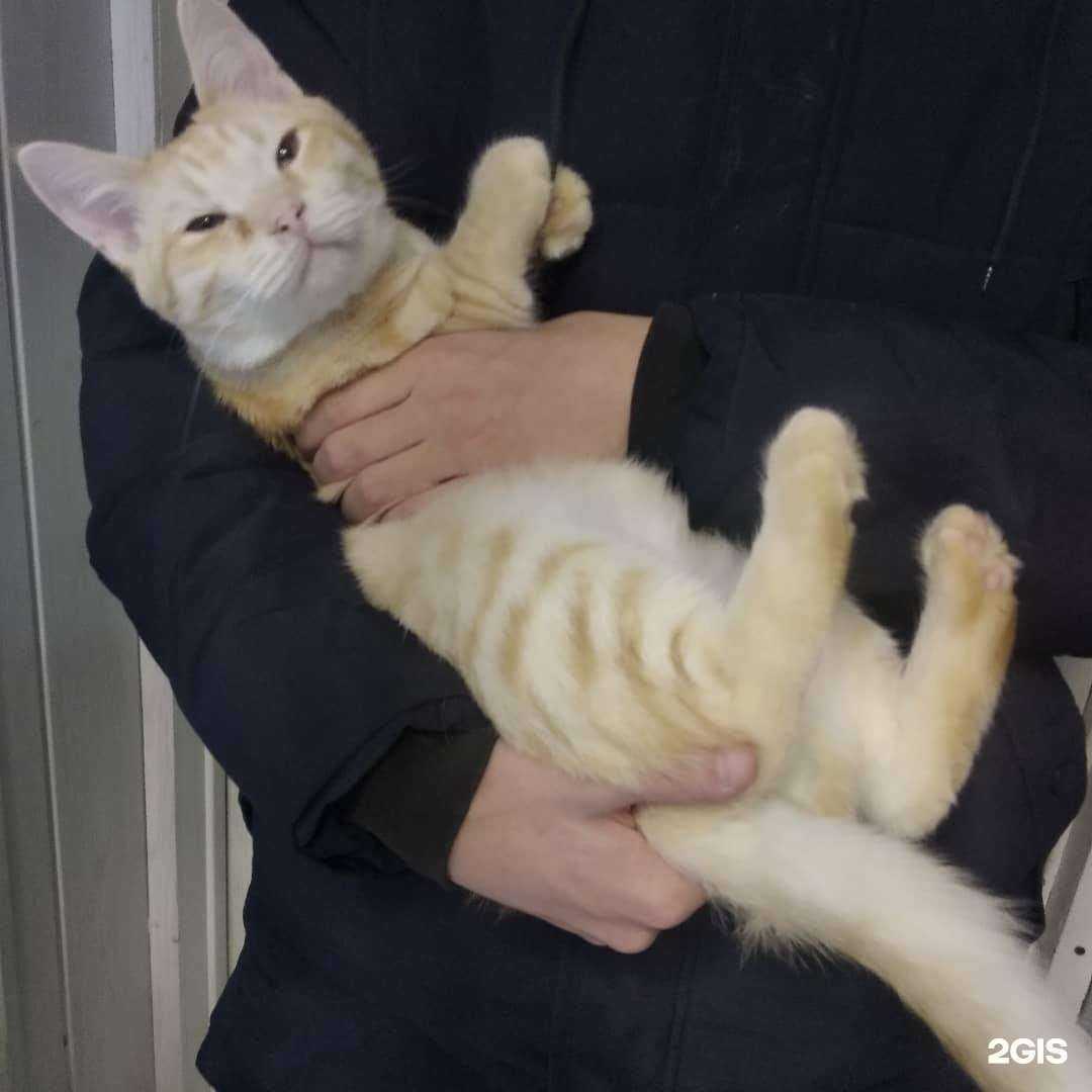 Отзывы на компанию Инстинкт в г. Нижнекамск c фото