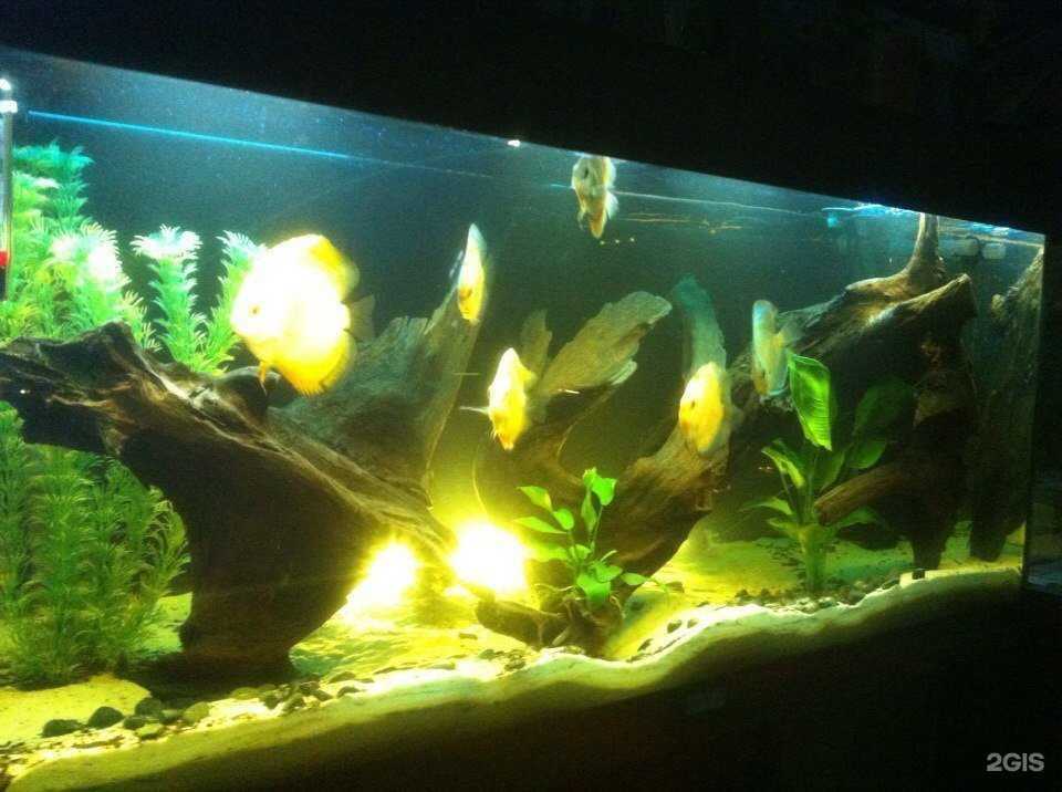 Отзывы на компанию Аквадизайн в г. Вологда c фото