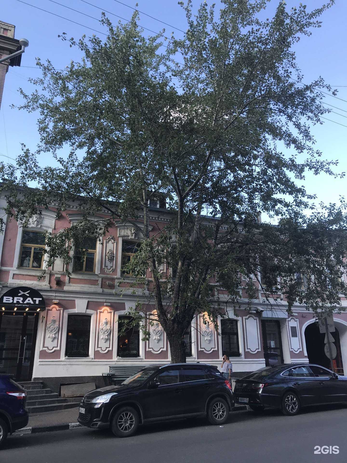 Отзывы на компанию Brat burgers в Нижнем Новгороде c фото - фотография 2 из 2