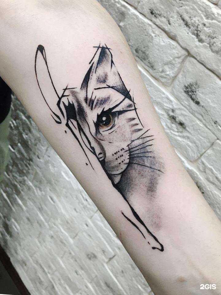 Отзывы на компанию Эдельвейс в г. Волгоград c фото