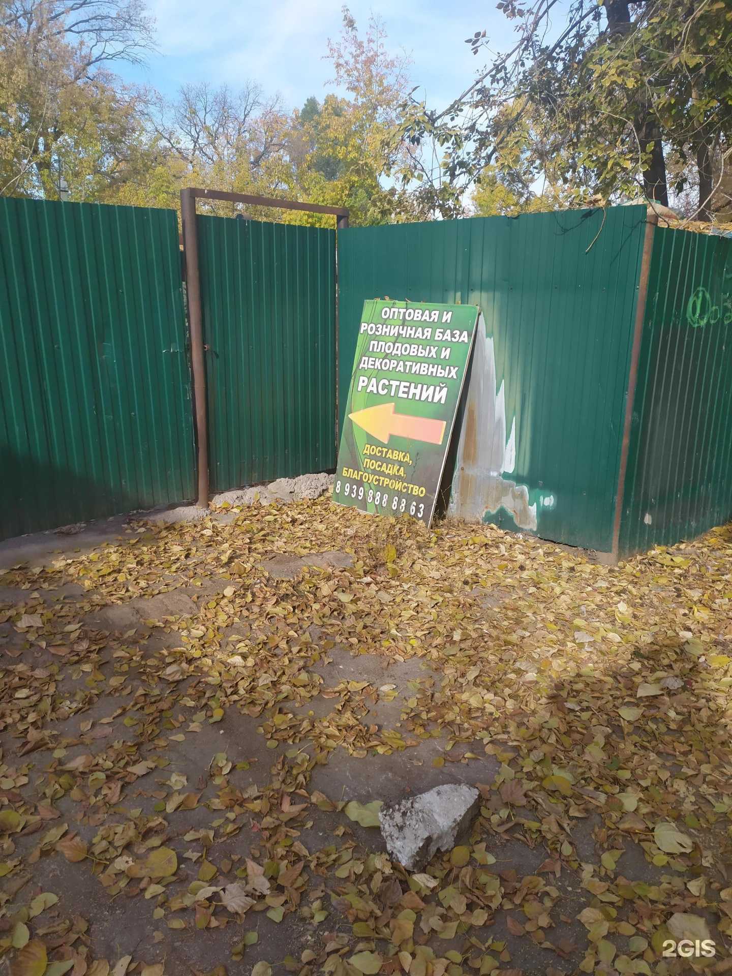 Отзывы на компанию Оптово-розничная база плодовых и декоративных растений в Самаре c фото