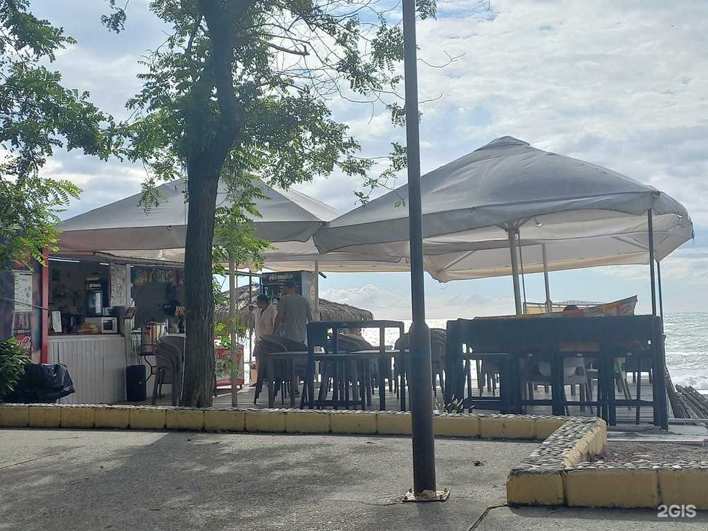 Отзывы на компанию Тихий берег в Сочи c фото