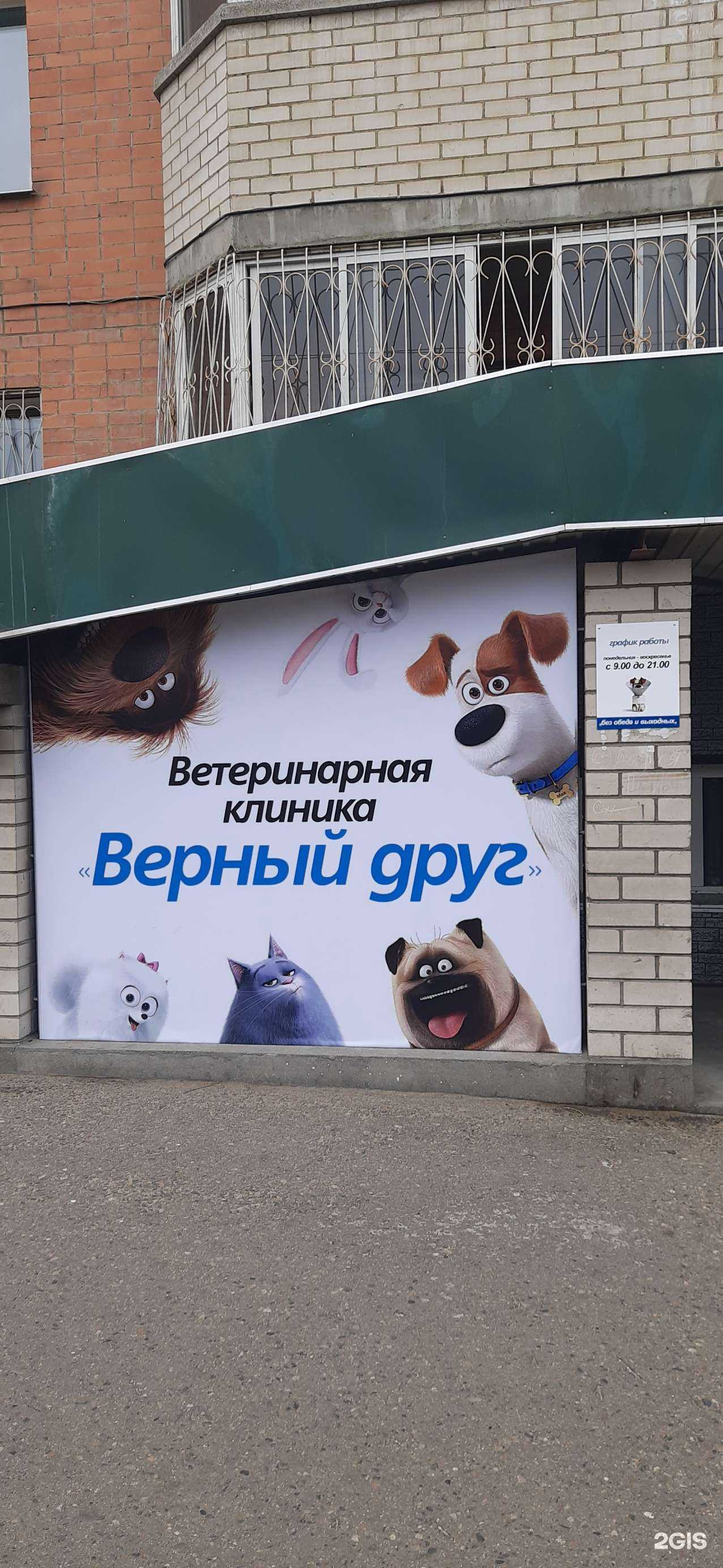 Отзывы на компанию Верный друг в г. Чита c фото