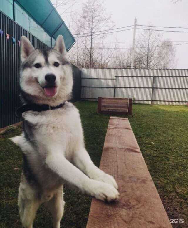 Отзывы на компанию Райский уголок в Жуковском c фото