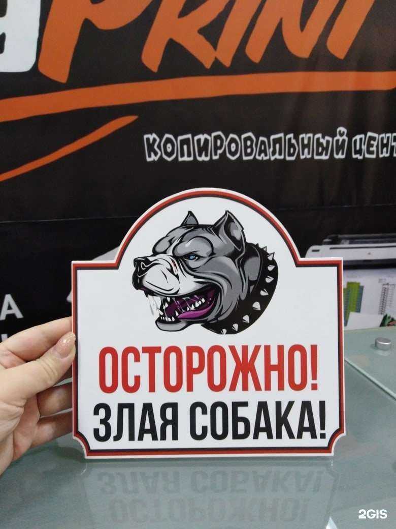 Отзывы на компанию Копи Принт в г. Старый Оскол c фото