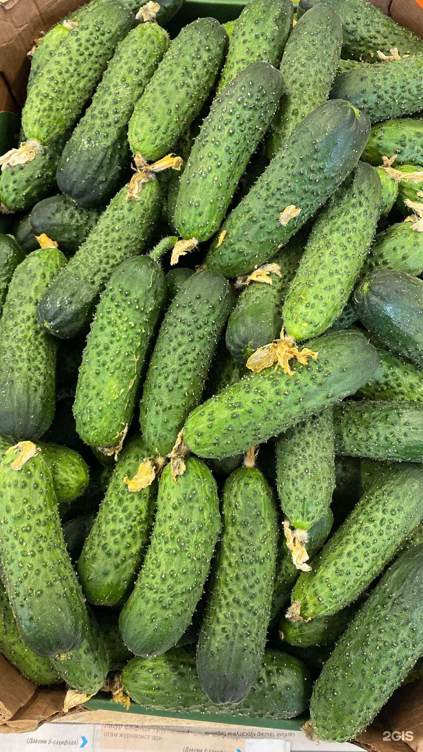 Отзывы на компанию Мир сухофруктов в г. Новосибирск c фото