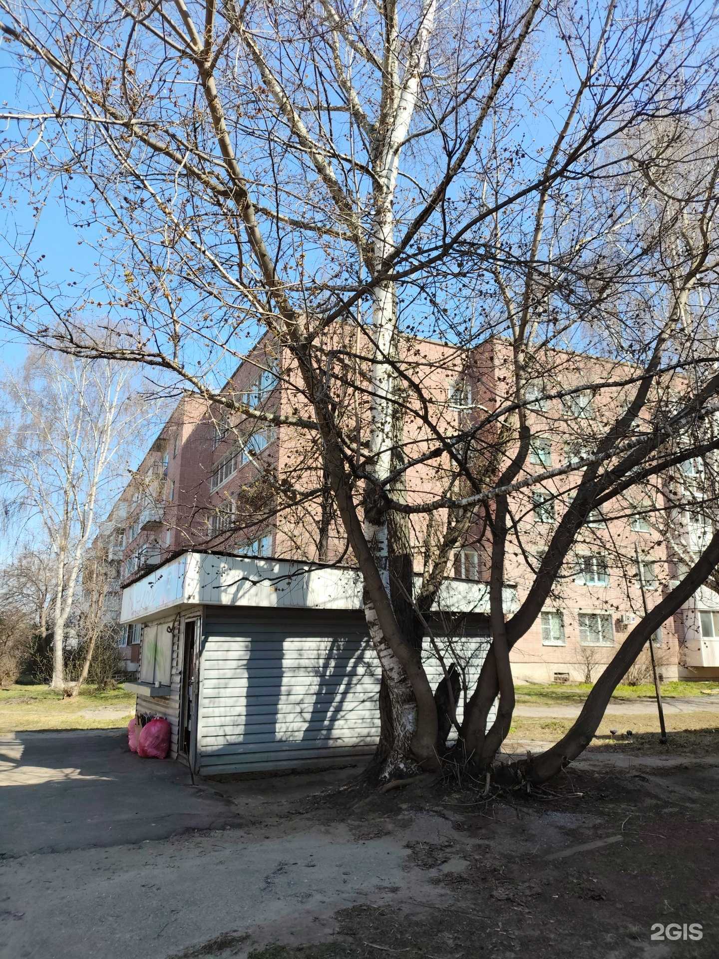 Отзывы на компанию Добровольцы тыла в г. Йошкар-Ола c фото