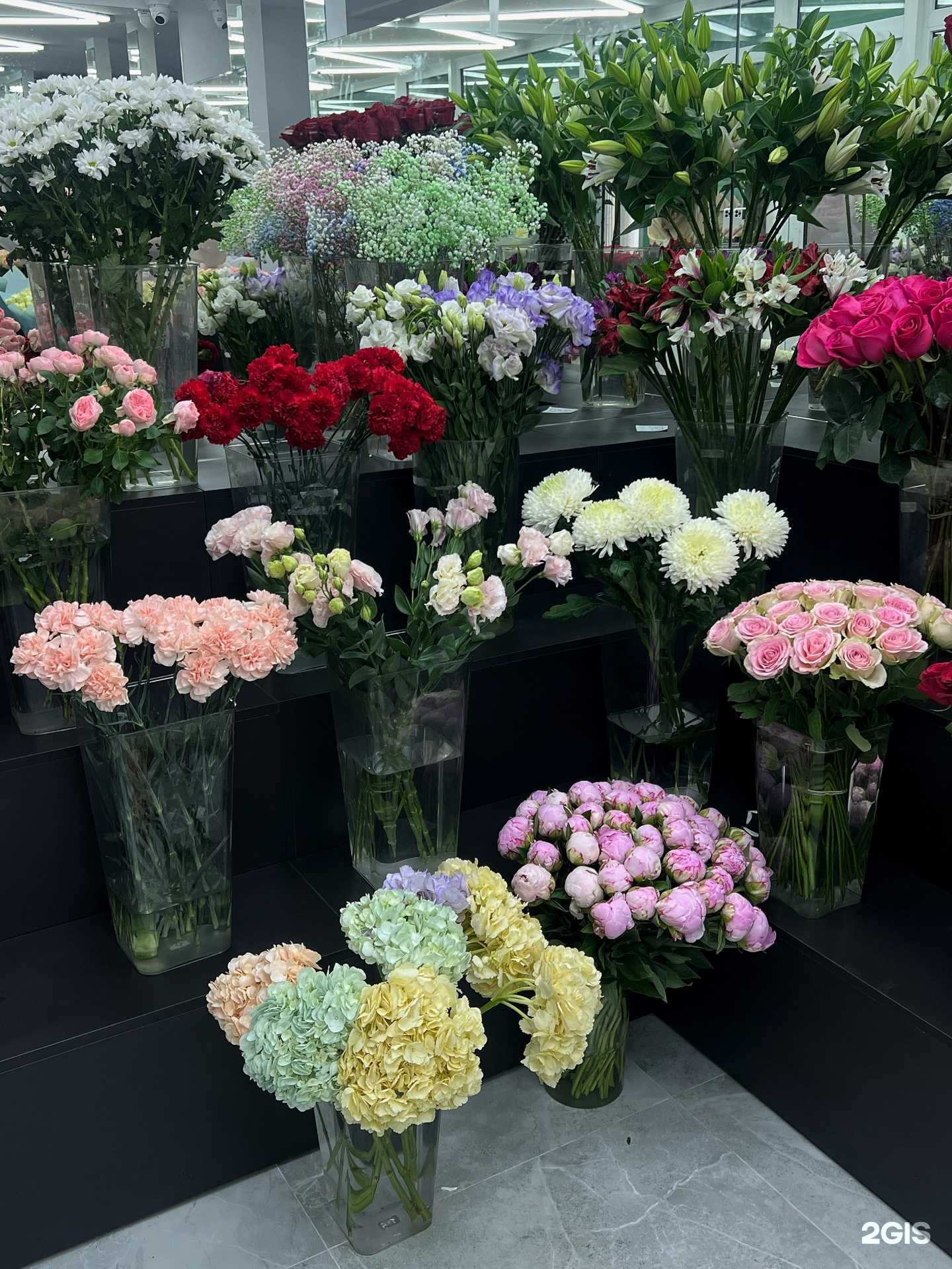 Отзывы на компанию Веранда роз в Владивостоке c фото