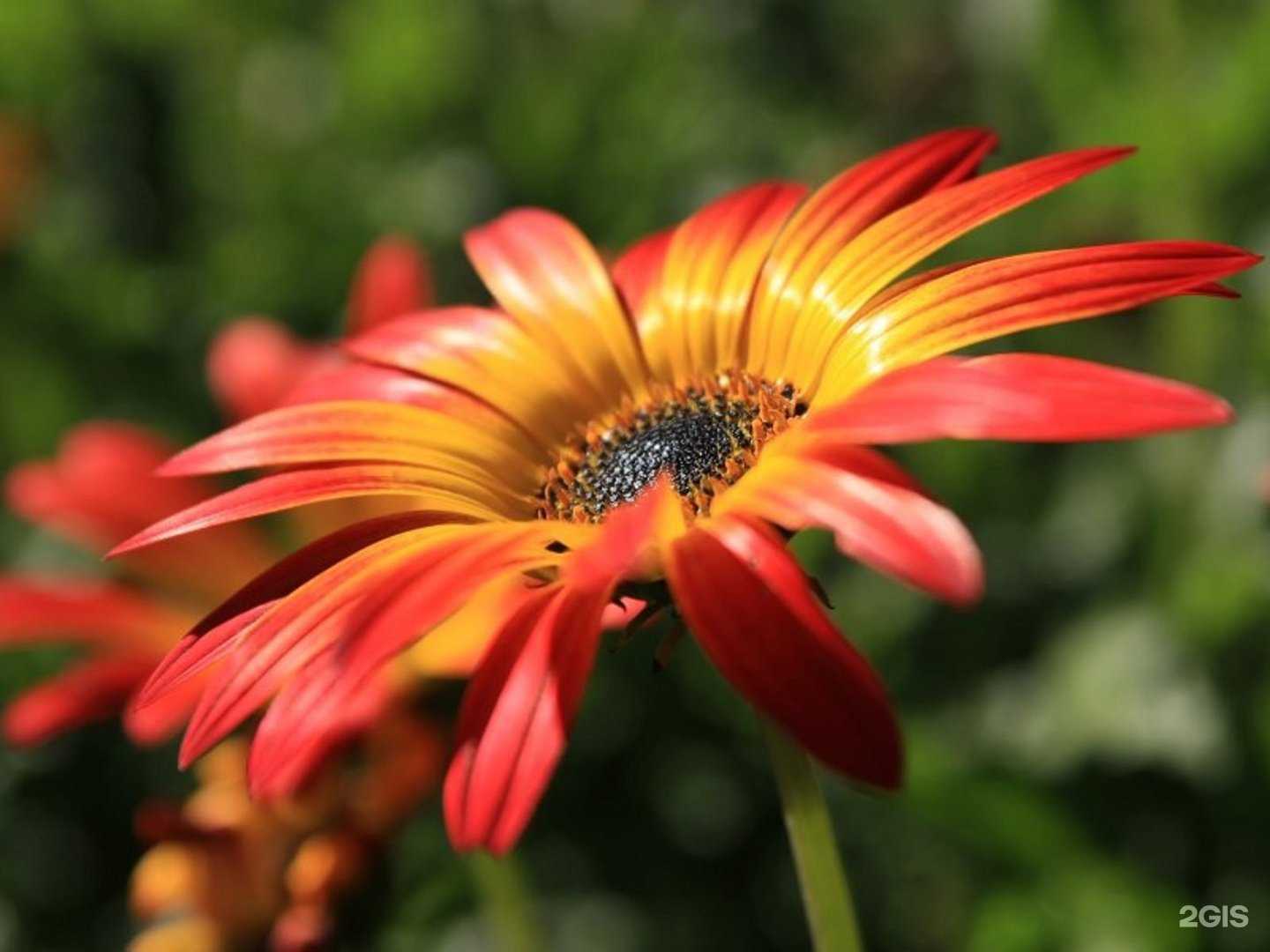 Отзывы на компанию Лима-РБ в г. Оренбург c фото