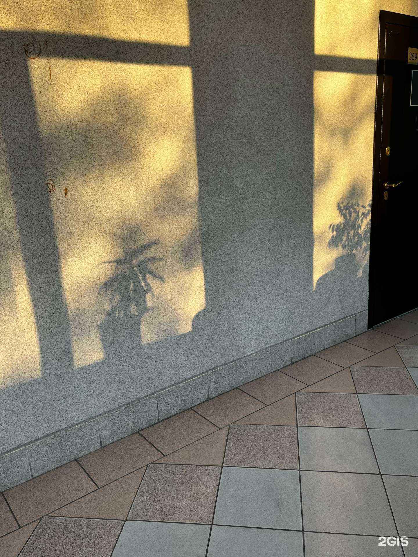 Отзывы на компанию Югорский государственный университет в г. Сургут c фото