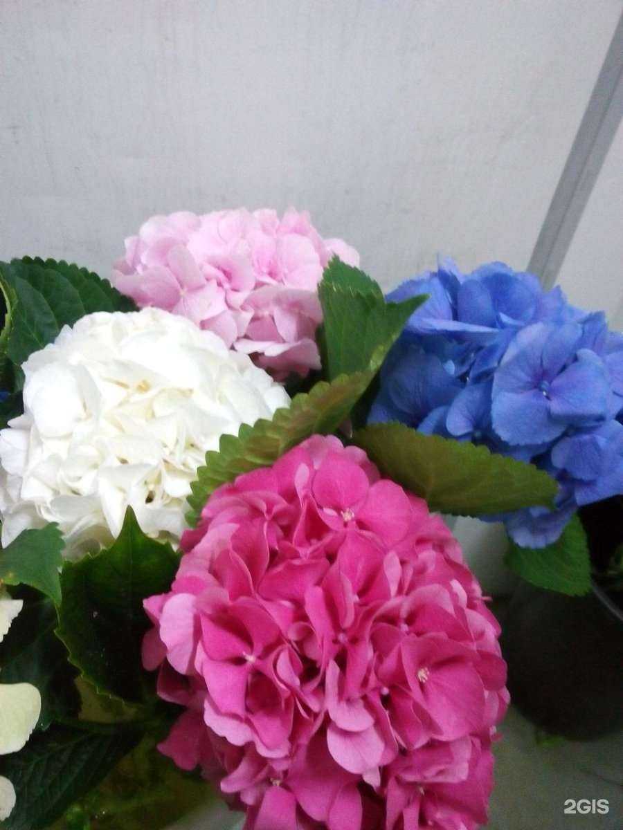 Отзывы на компанию Ресторанный техник в г. Нижний Тагил c фото