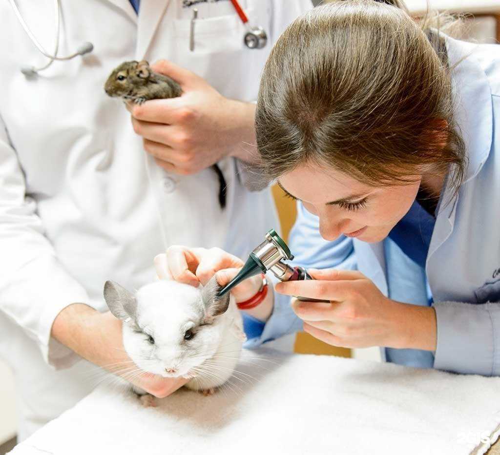 Отзывы на компанию Степашка в Долгопрудном c фото