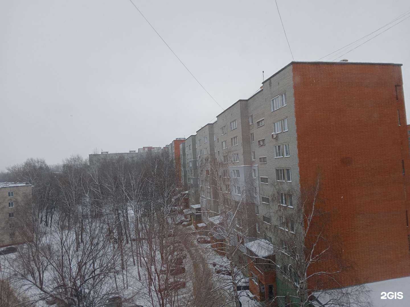 Отзывы на компанию Фиалковый рай в Пензе c фото - фотография 2 из 2